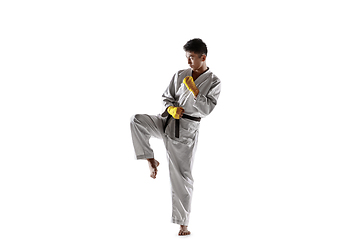 Image showing Confident korean man in kimono practicing hand-to-hand combat, martial arts