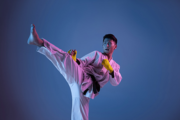 Image showing Confident korean man in kimono practicing hand-to-hand combat, martial arts