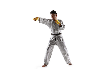 Image showing Confident korean man in kimono practicing hand-to-hand combat, martial arts