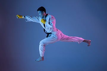 Image showing Confident korean man in kimono practicing hand-to-hand combat, martial arts