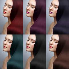 Image showing beautiful girl with different hair dye colors