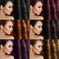 Image showing beautiful girl with different hair dye colors