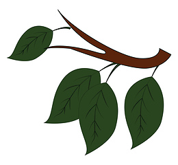 Image showing Four green leaves on brown branch vector illustration on white b