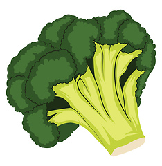 Image showing Dark green and light green cartoon of broccoli vector illustrati