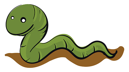 Image showing Green worm crawling on the ground  illustration basic RGB vector