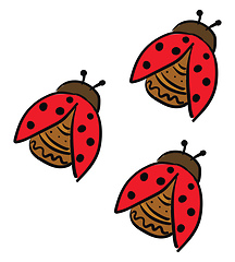 Image showing Three cute little lady beetles vector or color illustration