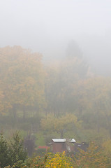 Image showing Fog in Autumn