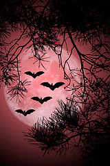 Image showing Halloween Night