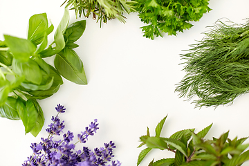 Image showing greens, spices or medicinal herbs on white