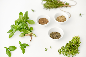 Image showing fresh and dry seasoning on white background