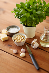 Image showing ingredients for basil pesto sauce on wooden table