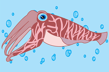 Image showing Cartoon of the cuttlefish squid sailling in water