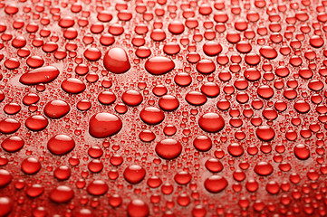 Image showing water drops on red background