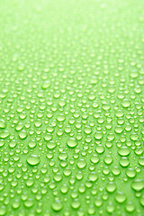 Image showing water drops