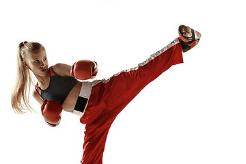 Image showing Young female kickboxing fighter training isolated on white background