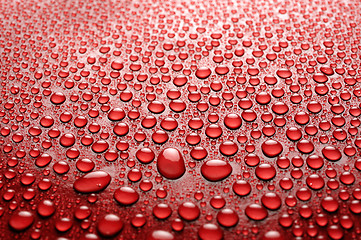 Image showing water drops