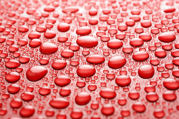 Image showing water drops on red background