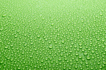 Image showing water drops on green background