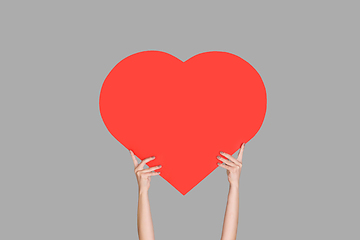 Image showing Hands holding the sign of heart on grey studio background