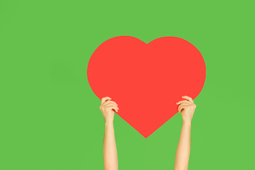 Image showing Hands holding the sign of heart on green studio background