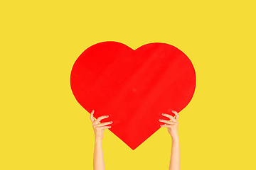 Image showing Hands holding the sign of heart on yellow studio background