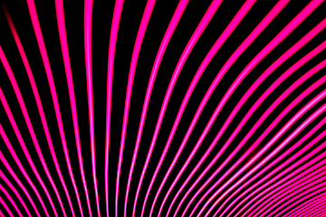 Image showing Bright neon line designed background, shot with long exposure, pink