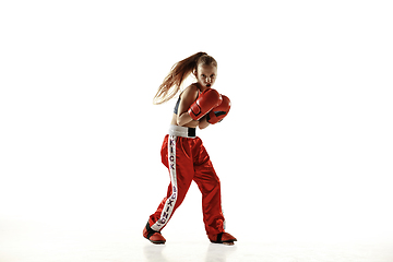 Image showing Young female kickboxing fighter training isolated on white background