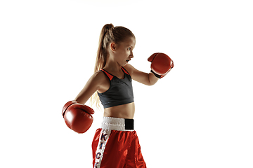 Image showing Young female kickboxing fighter training isolated on white background