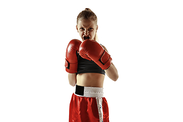 Image showing Young female kickboxing fighter training isolated on white background