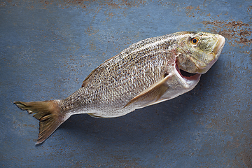 Image showing Fresh fish