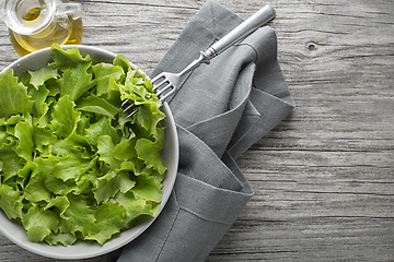 Image showing Green lettuce salad