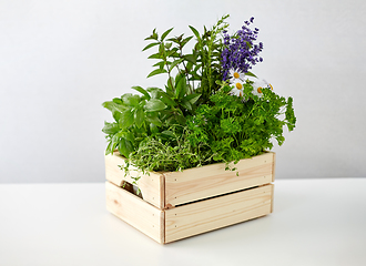Image showing green herbs and flowers in wooden box on table