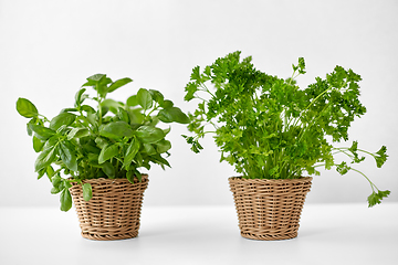 Image showing basil and parsley herbs in wicker baskets on table