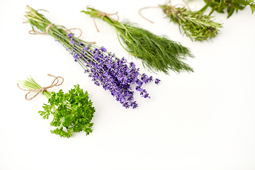 Image showing greens, spices or medicinal herbs on white