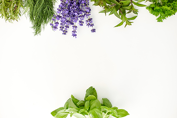 Image showing greens, spices or medicinal herbs on white