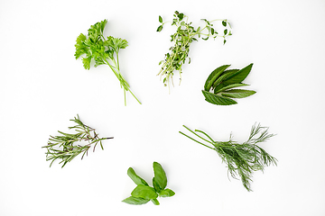 Image showing greens, spices or herbs on white background