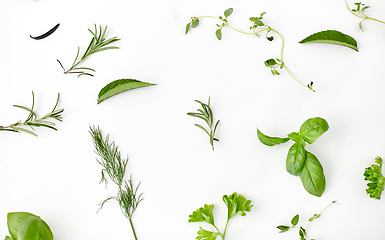 Image showing greens, spices or herbs on white background