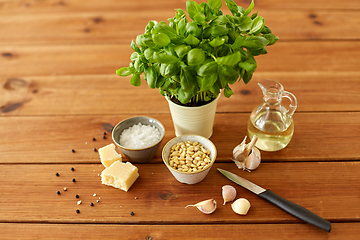 Image showing ingredients for basil pesto sauce on wooden table