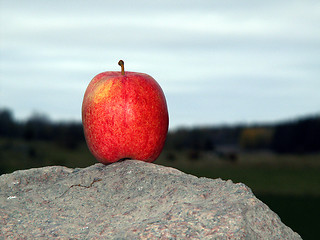 Image showing Apple