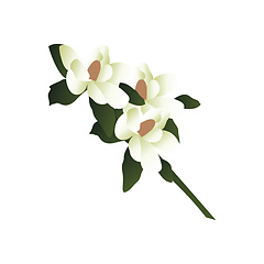 Image showing Vector illustration of white magnolia flowers with green leafs o