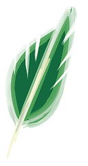 Image showing Drawing of a green feather vector or color illustration