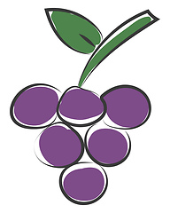 Image showing Clipart of a bunch of round-shaped purple grapes vector or color