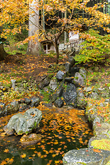 Image showing Traditional Japanese garden at autumn