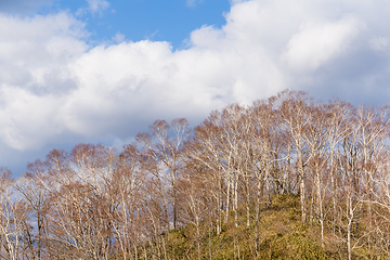 Image showing Natural landscape in autumn