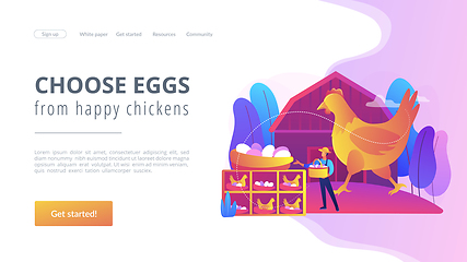 Image showing Free run chicken and eggs concept landing page.