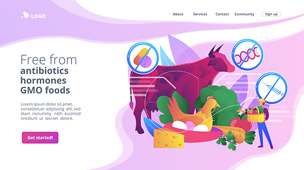 Image showing Free from antibiotics hormones GMO foods concept landing page.