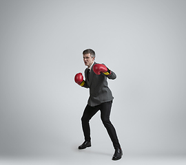 Image showing Caucasian man in office clothes boxing isolated on grey studio background