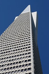 Image showing The Transamerica Pyramid