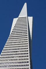 Image showing The Transamerica Pyramid