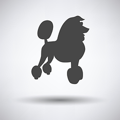 Image showing Poodle icon